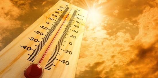 canicule